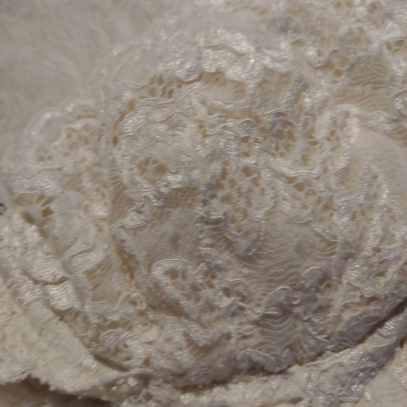 Exilia Ivory Lightly Padded Lace Made in Italy 36A - Picture 10 of 16